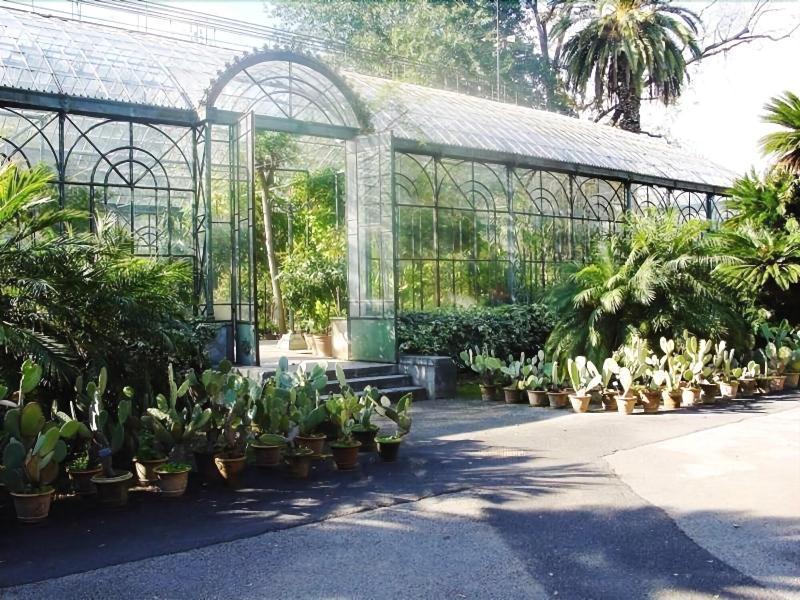 مبيت وإفطار باليرمو Al Decoro المظهر الخارجي الصورة